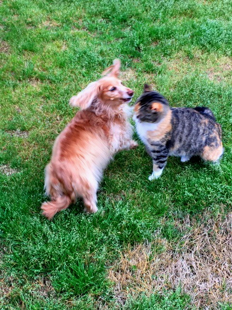 Maddie and Fancy2.jpg
