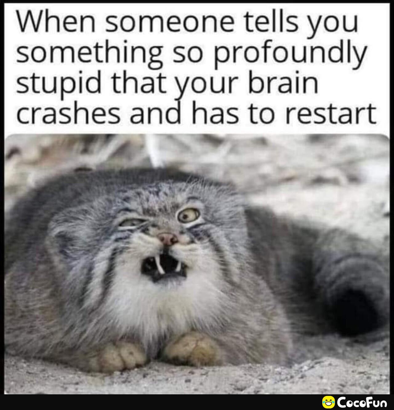 maga_091ba73d4f4e031c9415c19bee20b0e5.jpeg