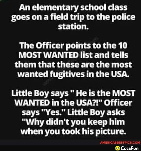 maga_6784161f9b3f4095fbb1bac95cdd52c5.jpeg