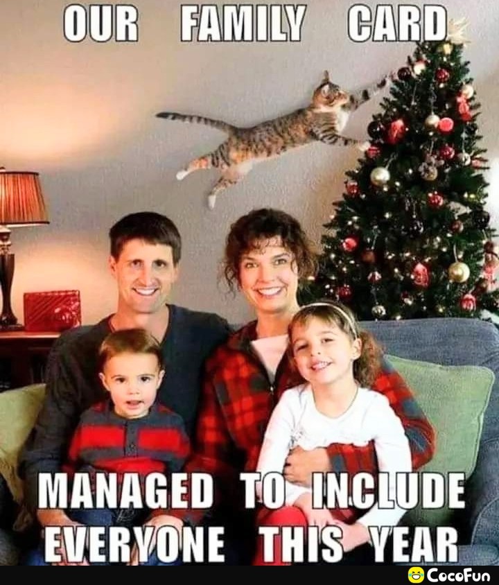 maga_817221b117180ea1c65a49731c943784.jpeg