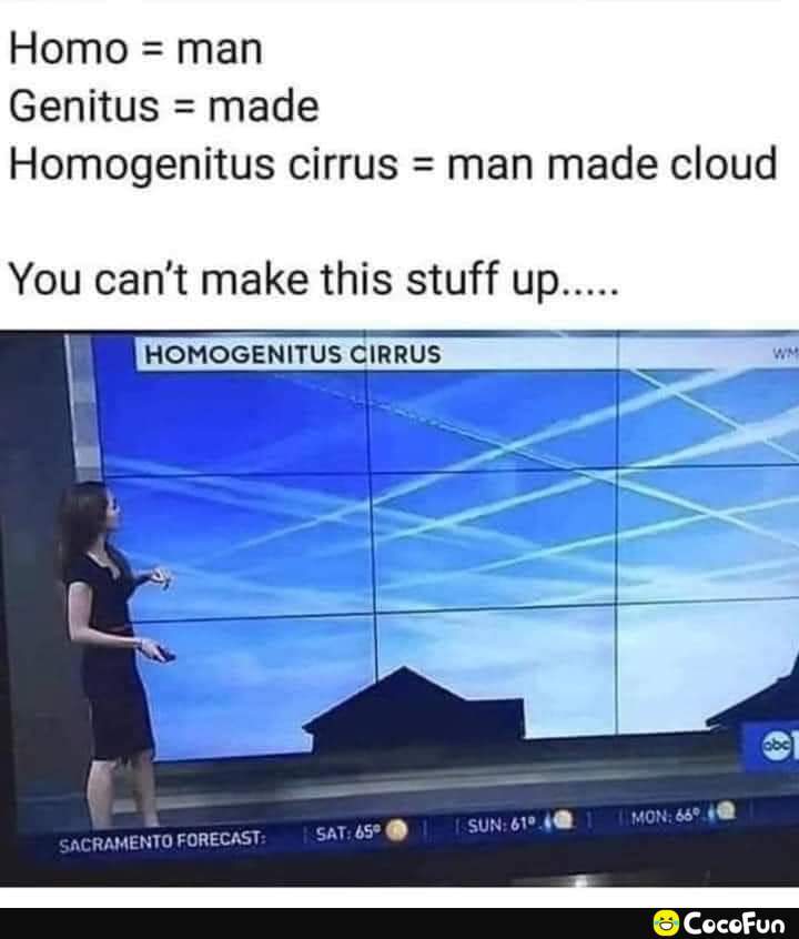 maga_c517b0167675cdc7585fe68ae1e0d4c4.jpeg