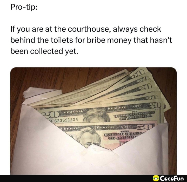 maga_d3d885863833fe74e57dda88a167a632.jpeg