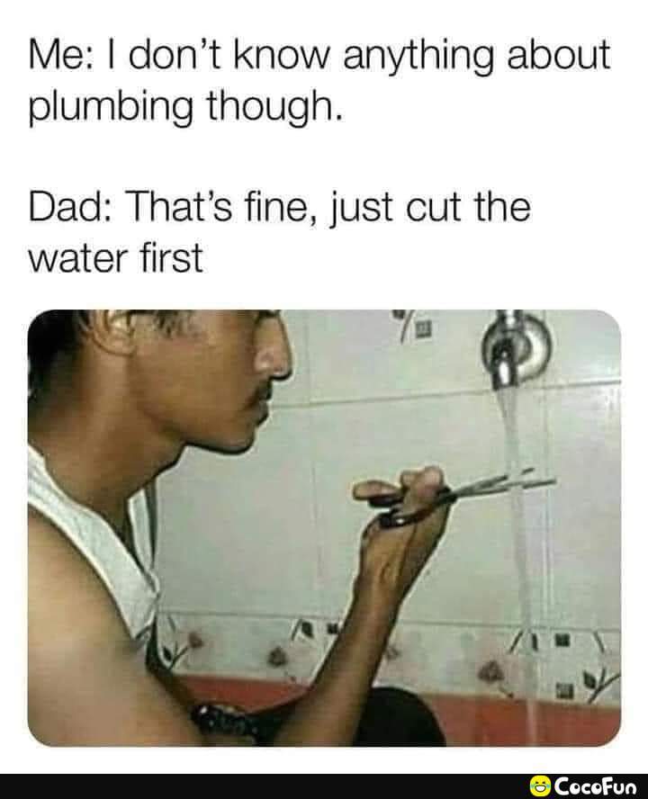 maga_d431766c563a0fa6946fee86fc077553.jpeg