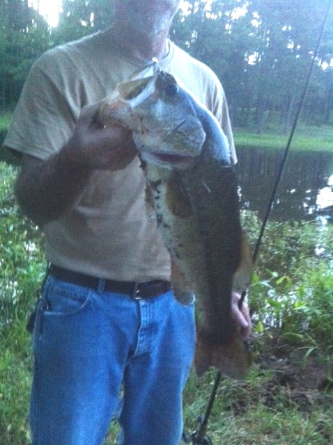 Mark Fish_c.jpg