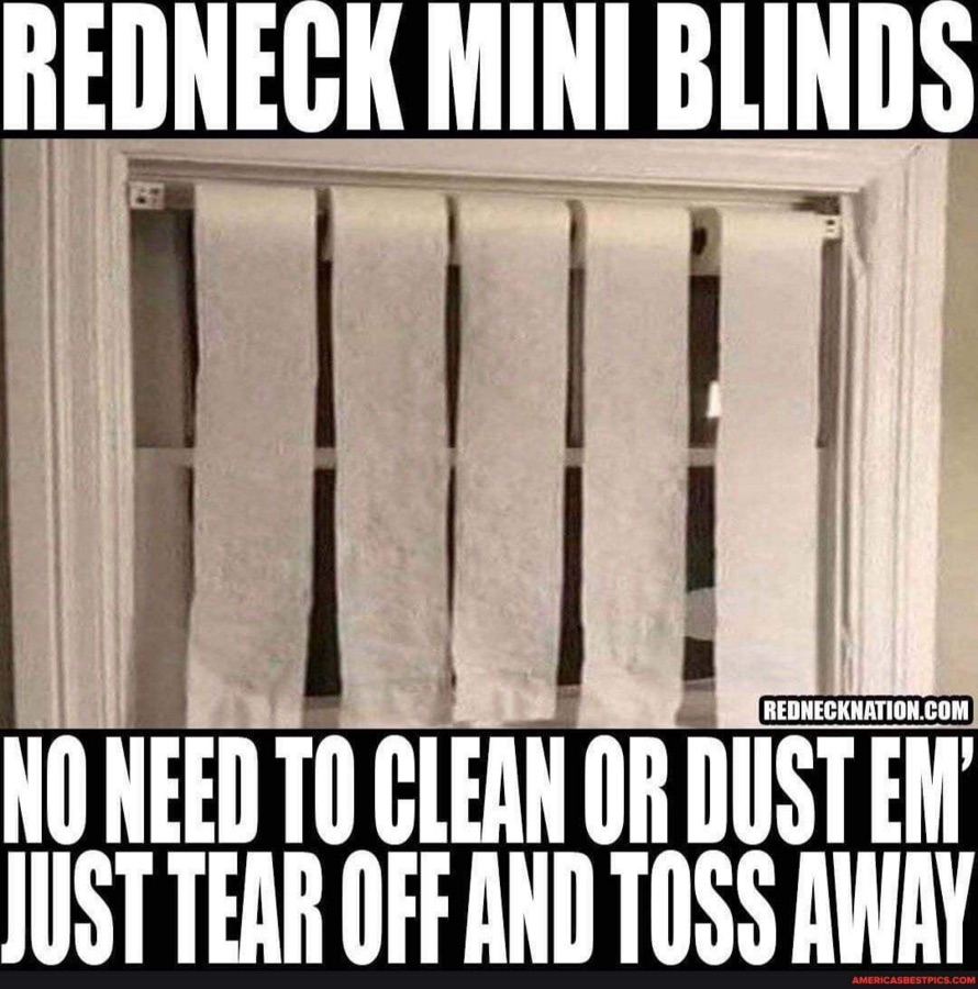 mini blinds.jpeg