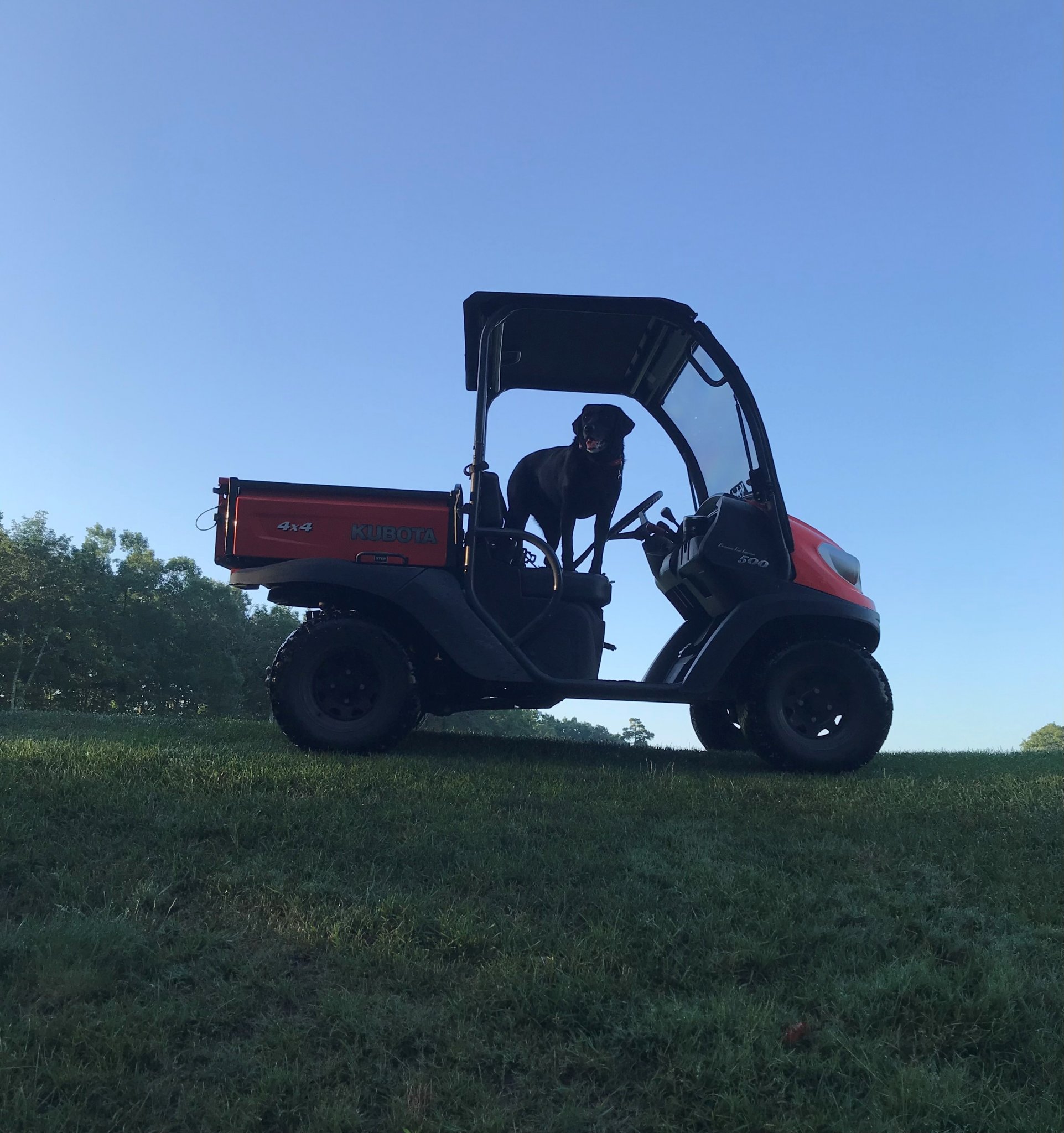 Miya in Kubota.jpg