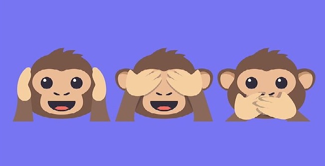 monkey.jpg