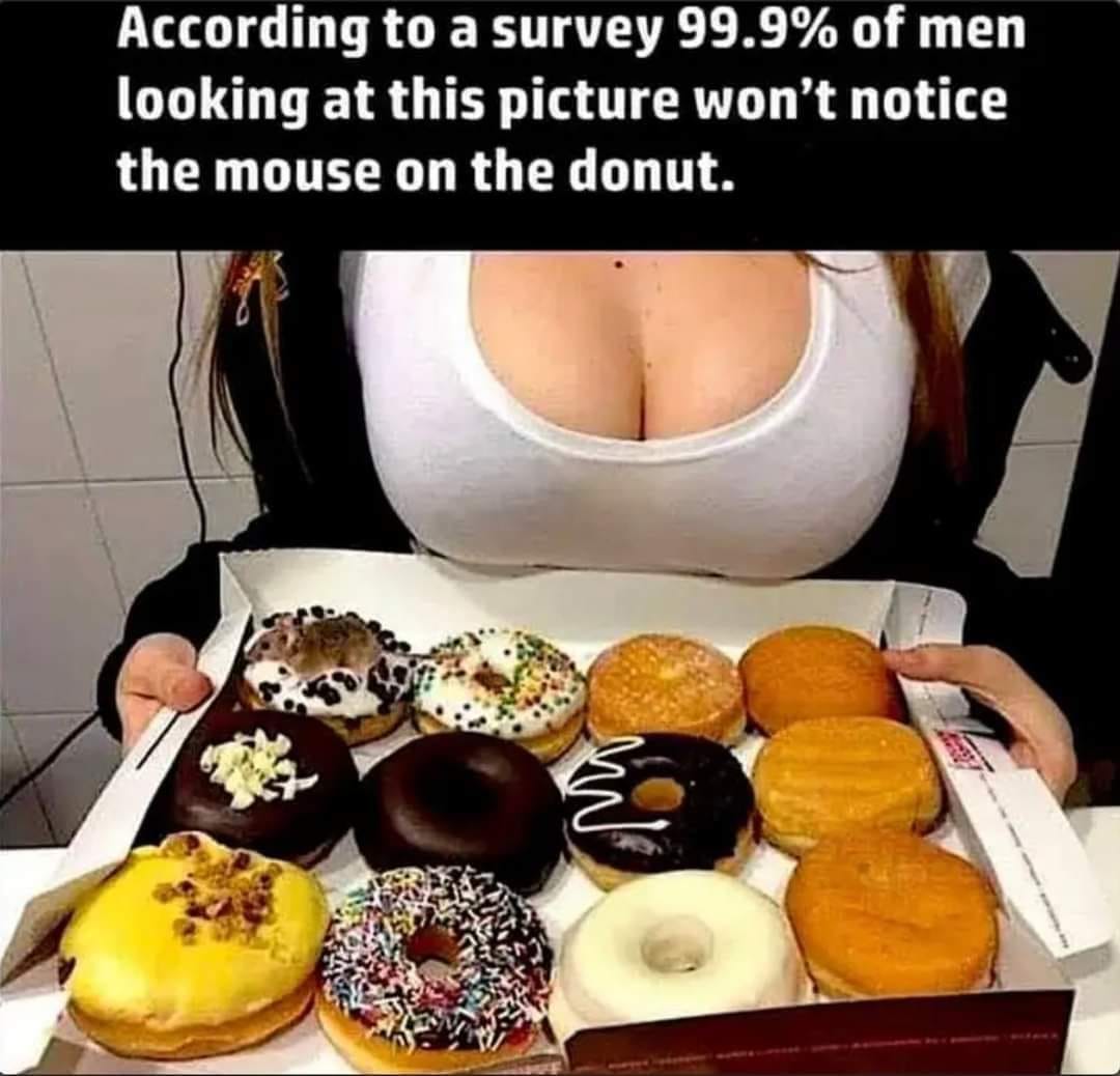 mouse.jpg