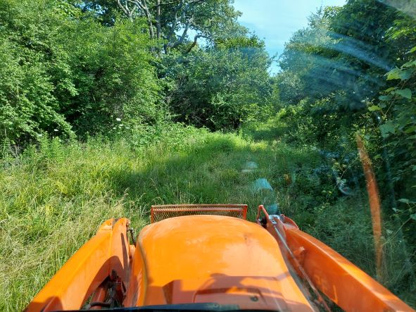 Mowing at the farm.jpg