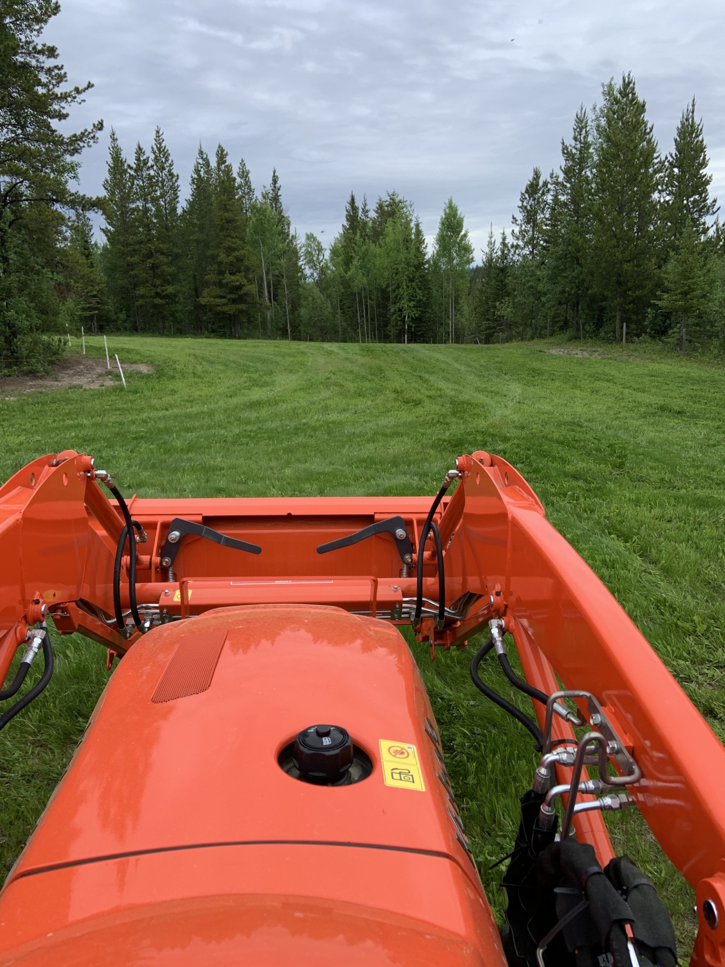 mowing.jpg