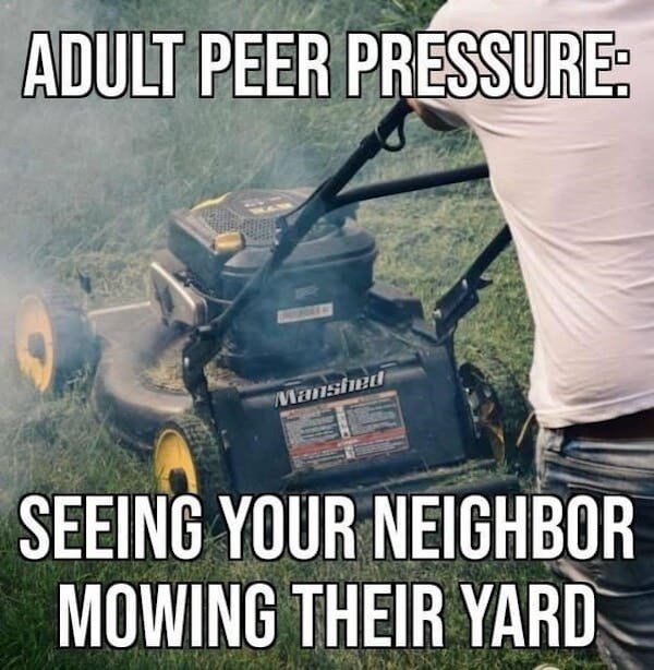 Mowing.jpg