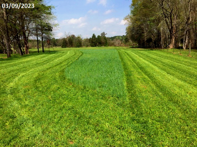 Mowing Pasture 030923.jpg