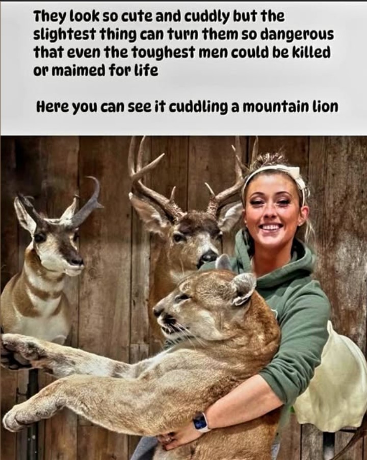 mt lion.jpg