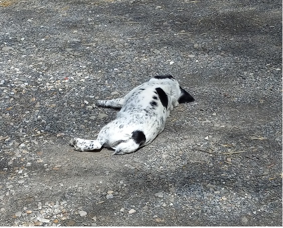 nap.jpg