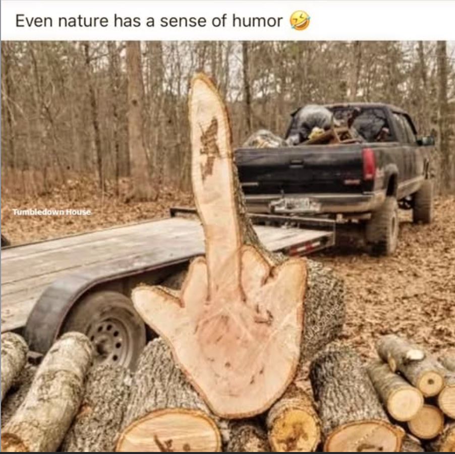 nature.JPG