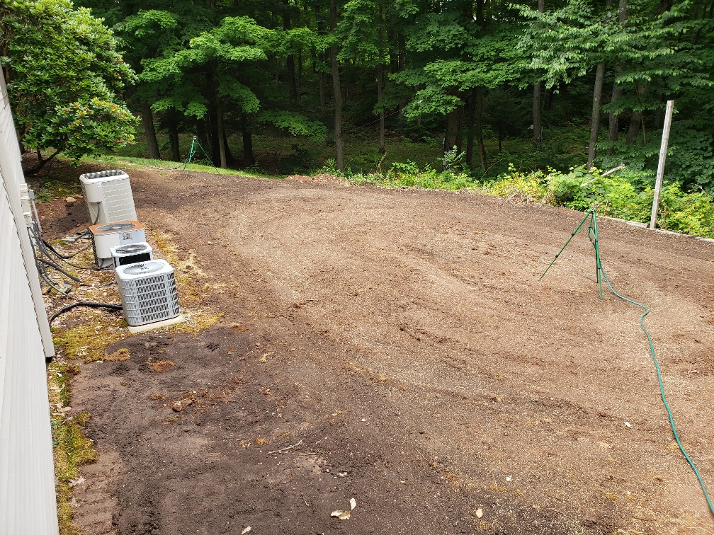 north side 1 day after seeding.jpg