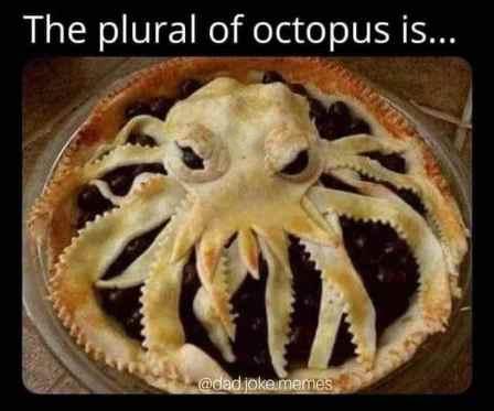 octo.jpg