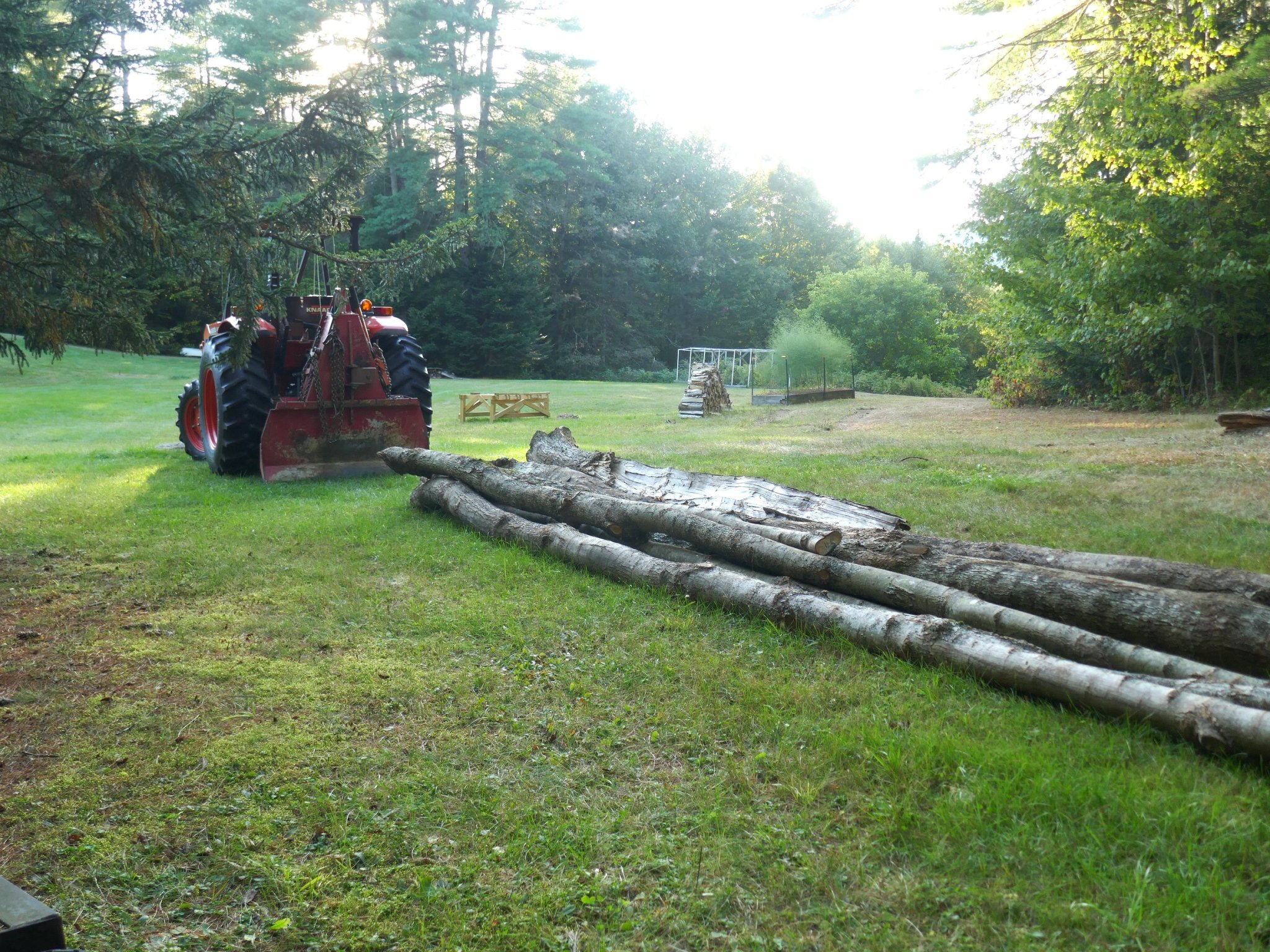 P1000682-1.JPG