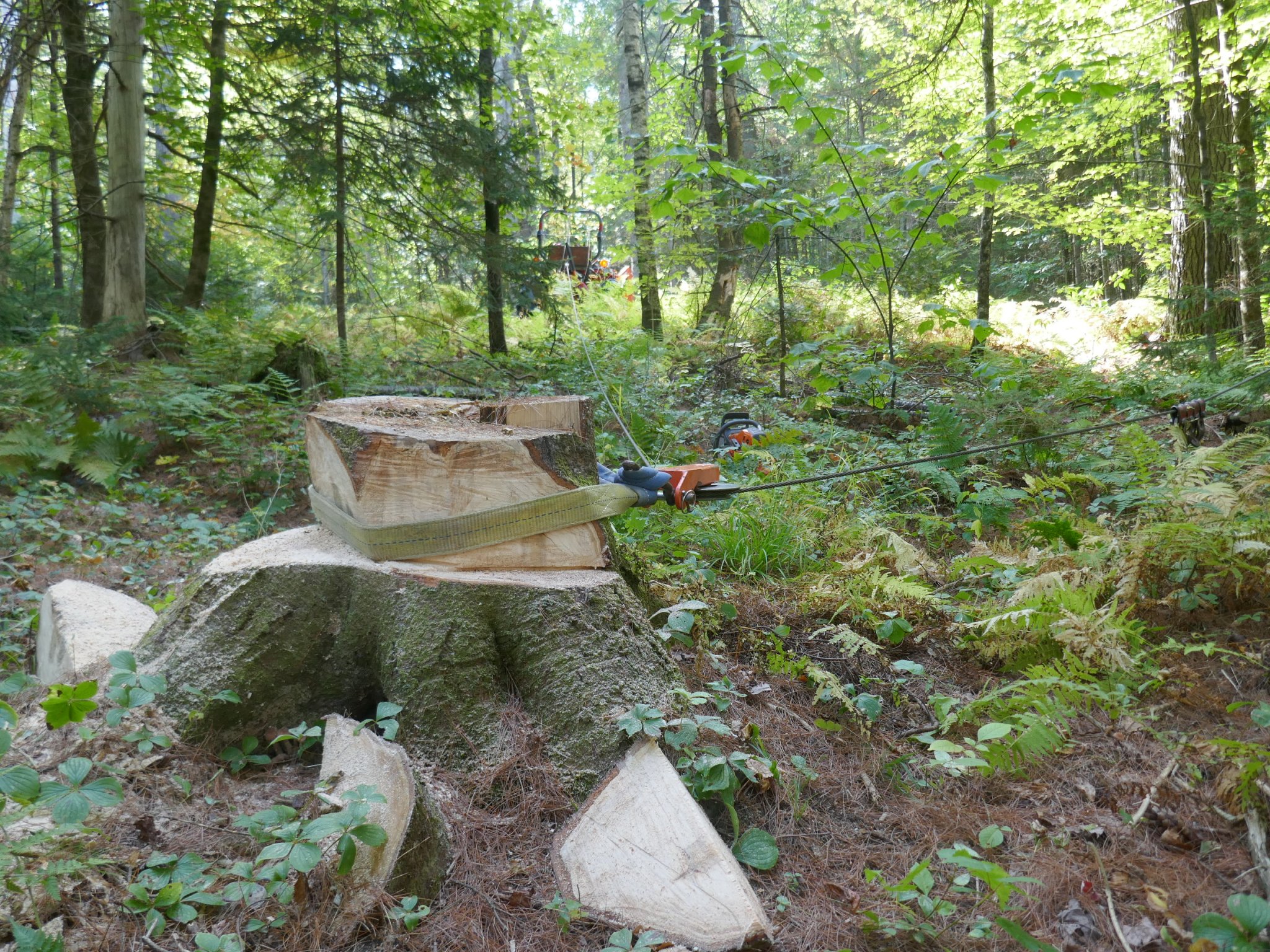 P1000723.JPG
