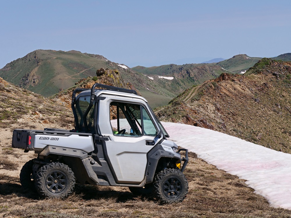 P1002581ertbn7-9-23.jpg