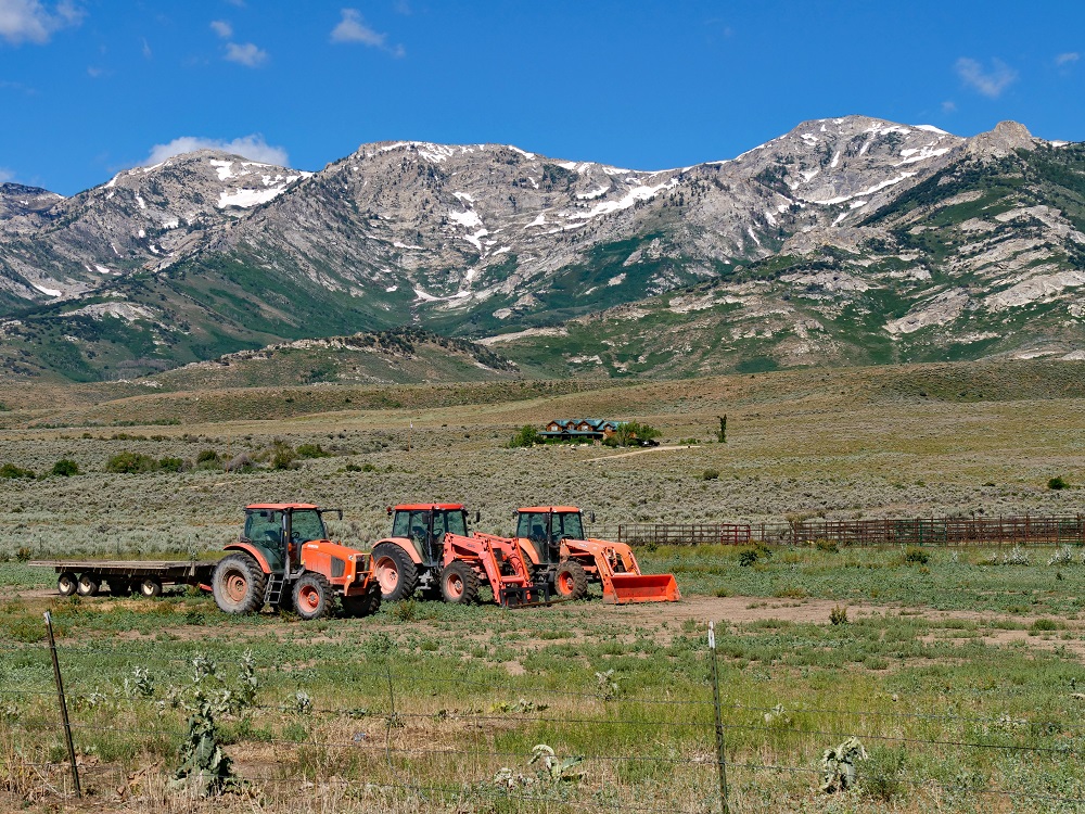P1008560erorngtrctr6-28-24.jpg