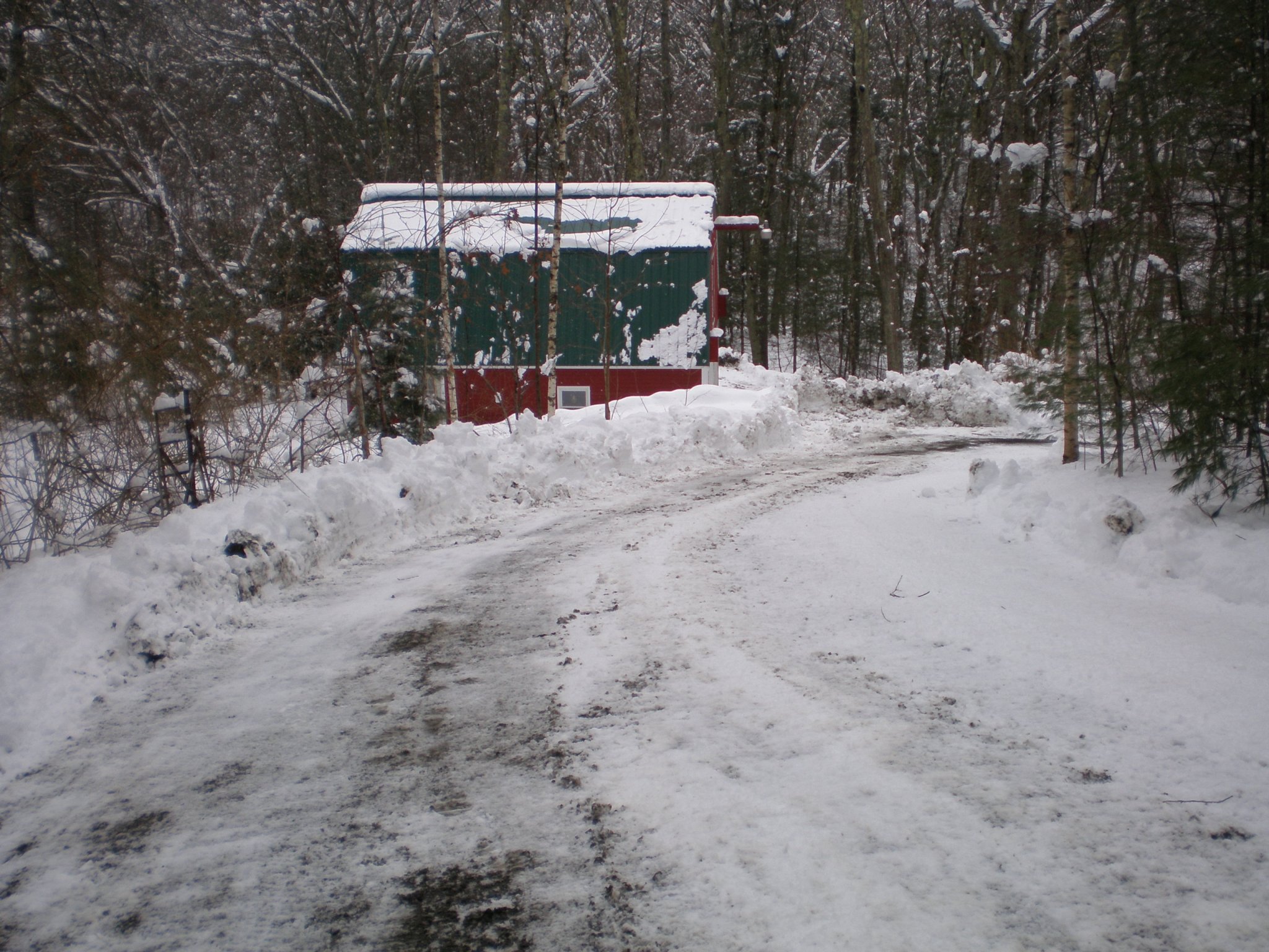 P3040006.JPG