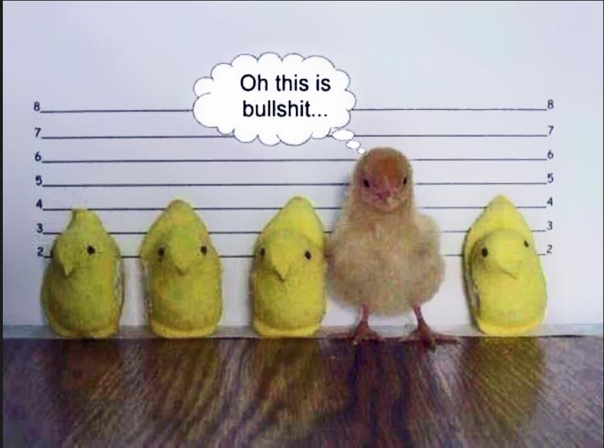 Peeps.JPG