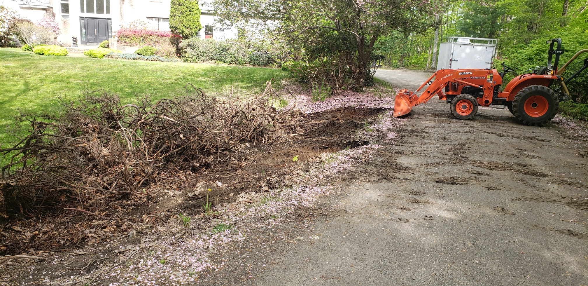 planting driveway bank 2.jpg