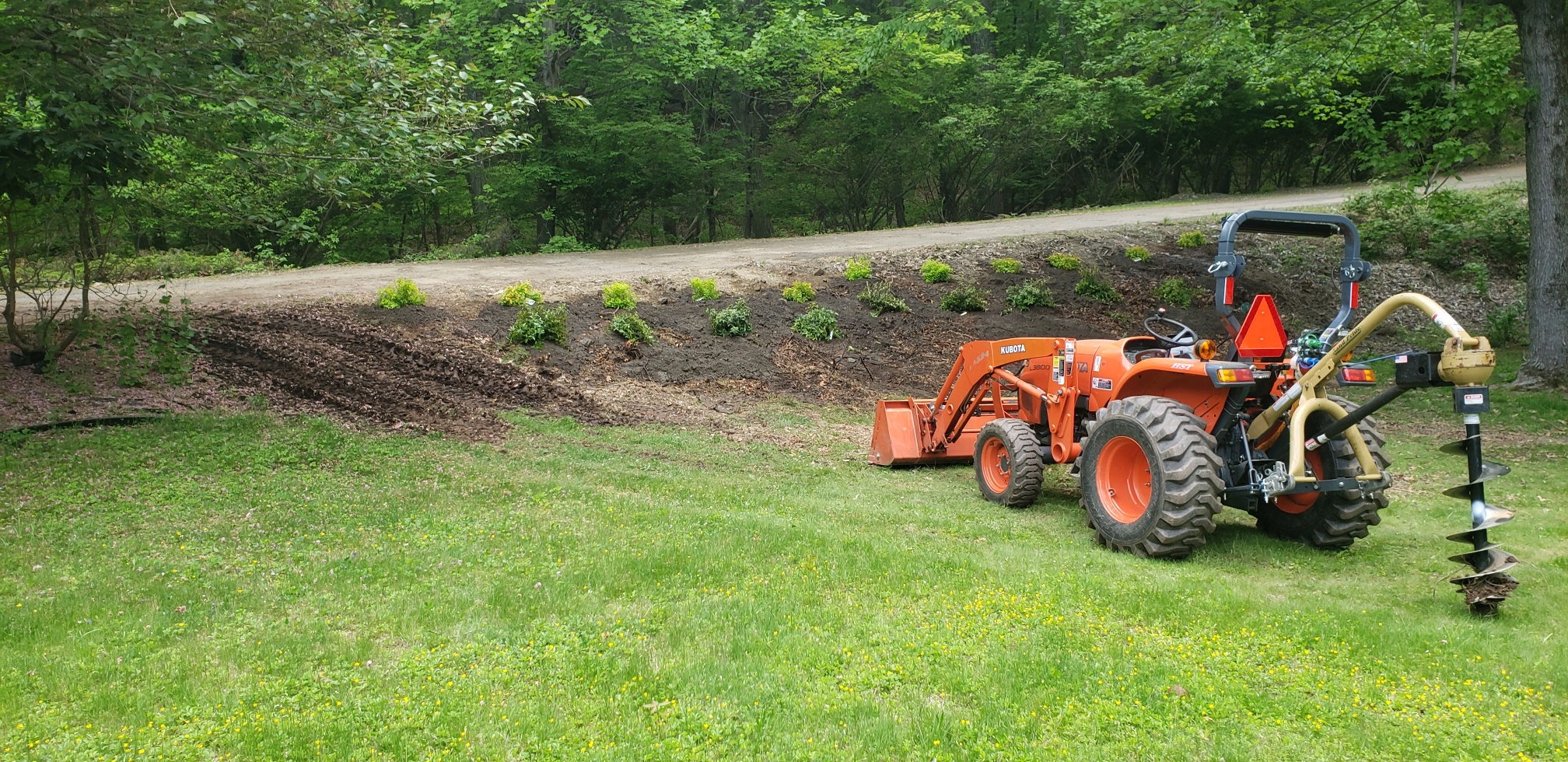 plantings bank done -1.jpg