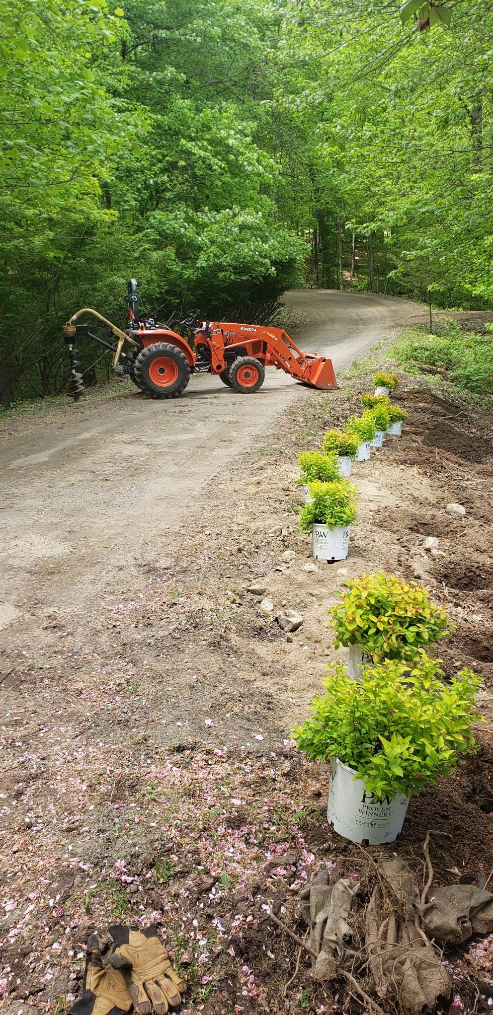 plantings bank start top row.jpg