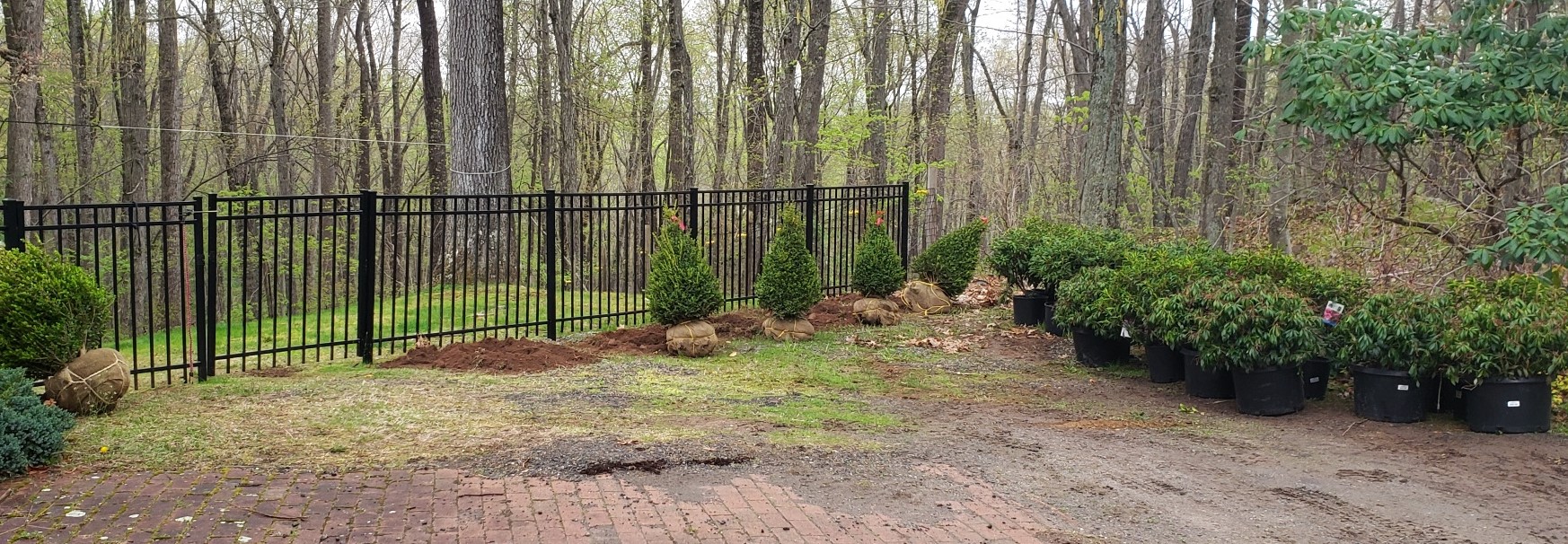 plantings bottom of driveway begin.jpg