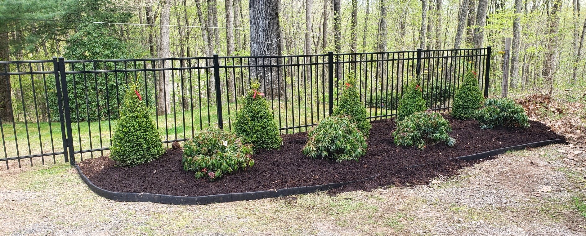 plantings bottom of driveway finished.jpg