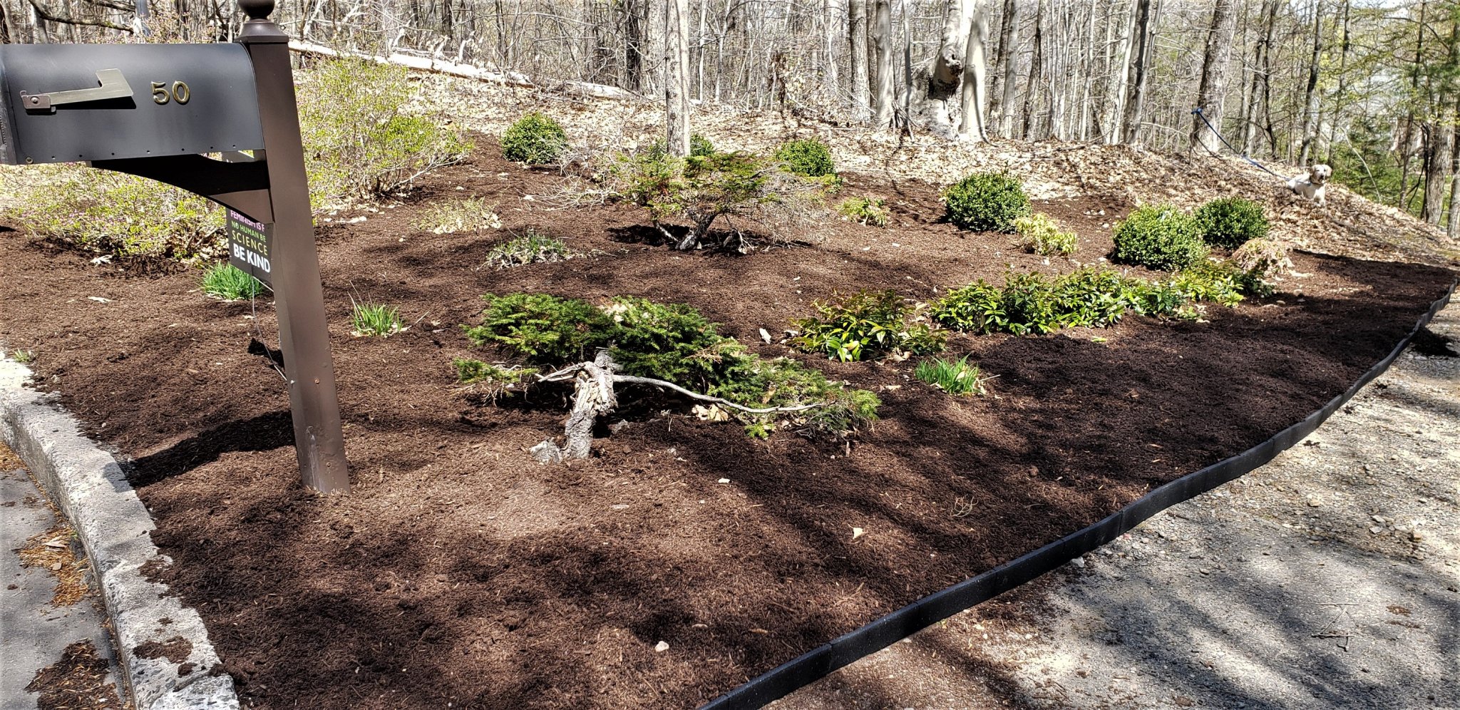 plantings left side finished.jpg