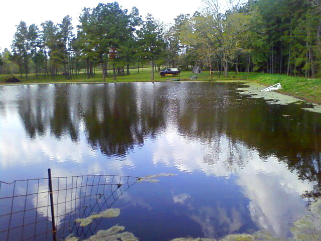 Pond_Larger.jpg