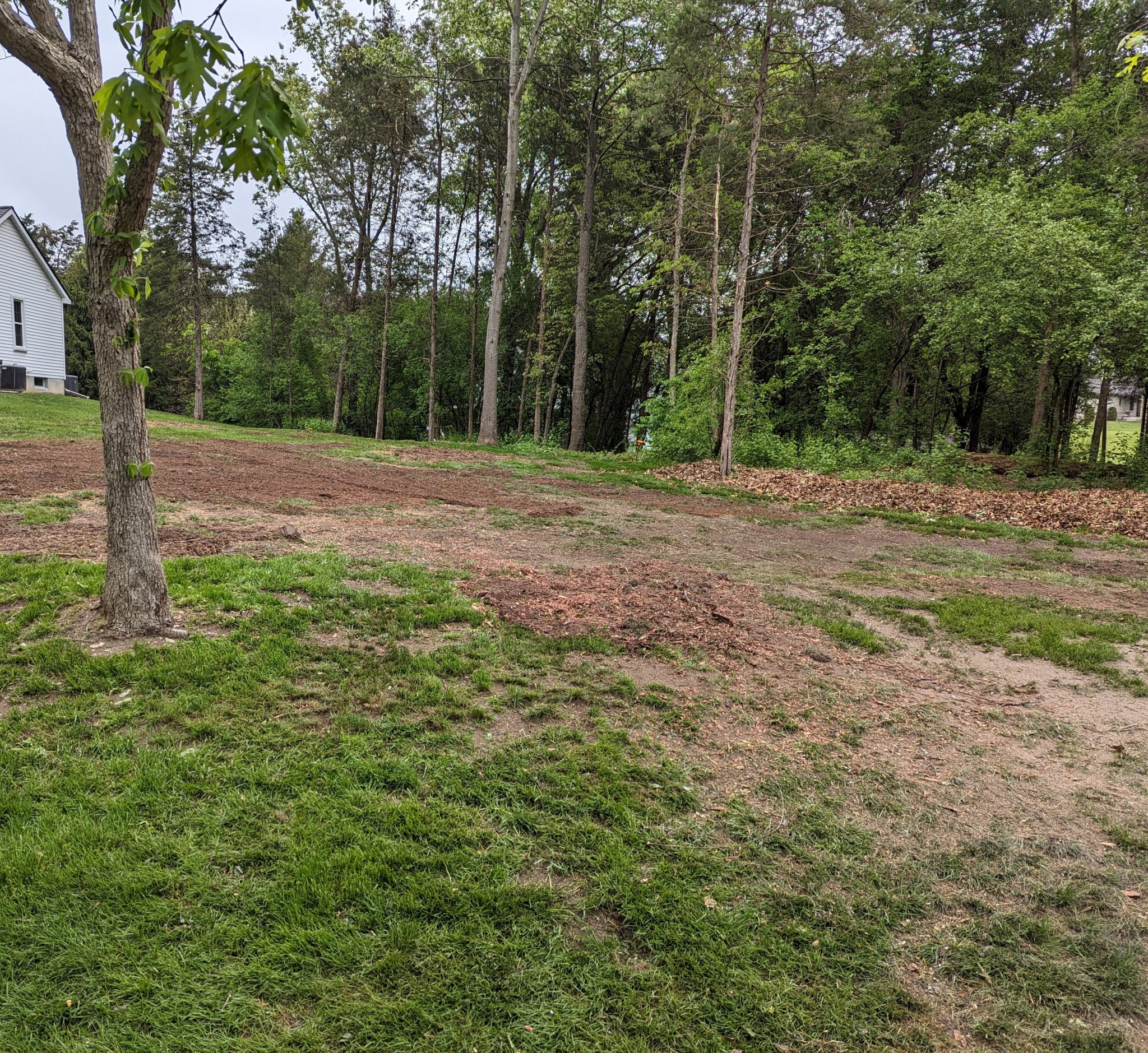 PXL_20230519_211643033.jpg