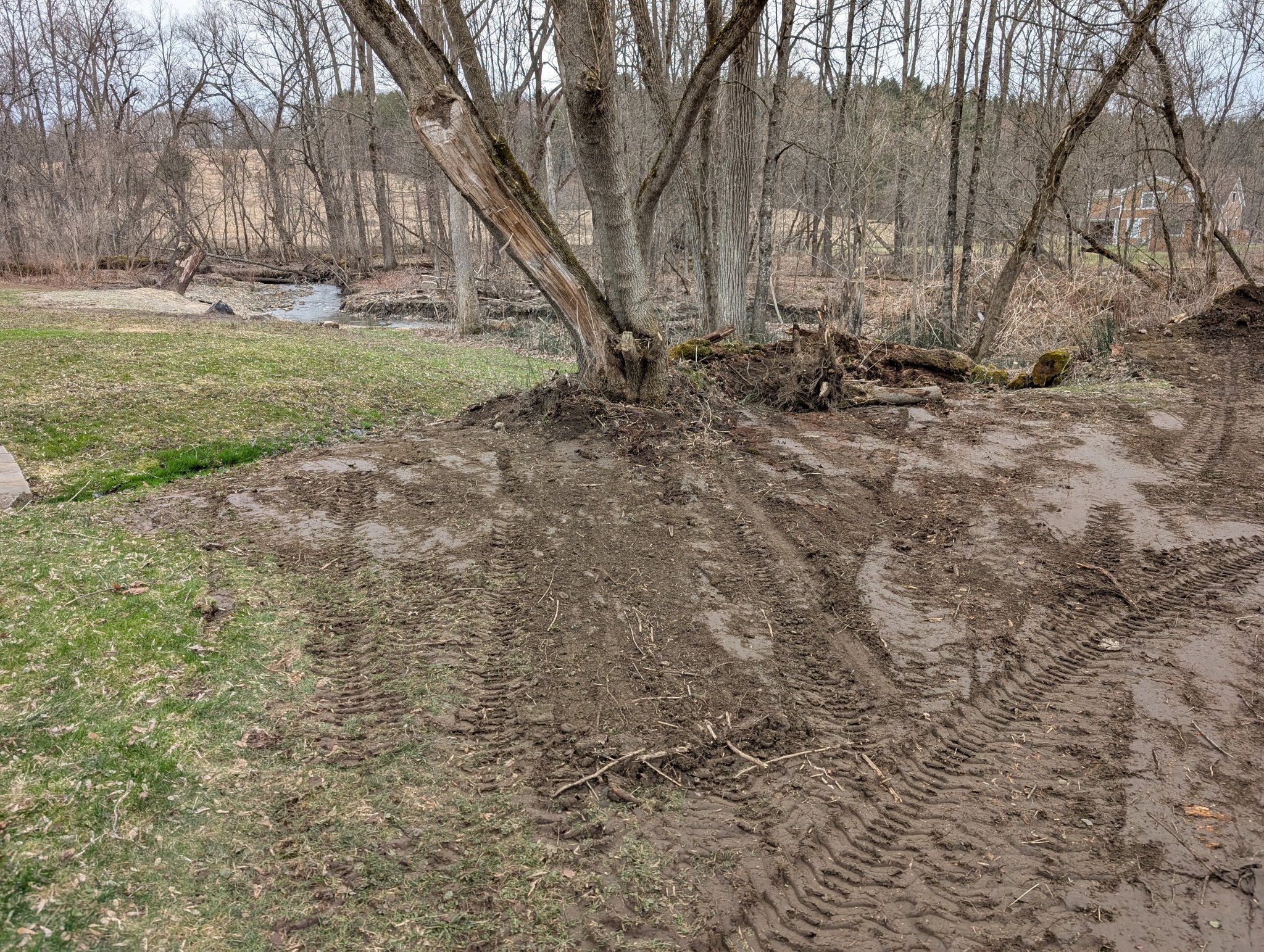 PXL_20250415_175337305.jpg