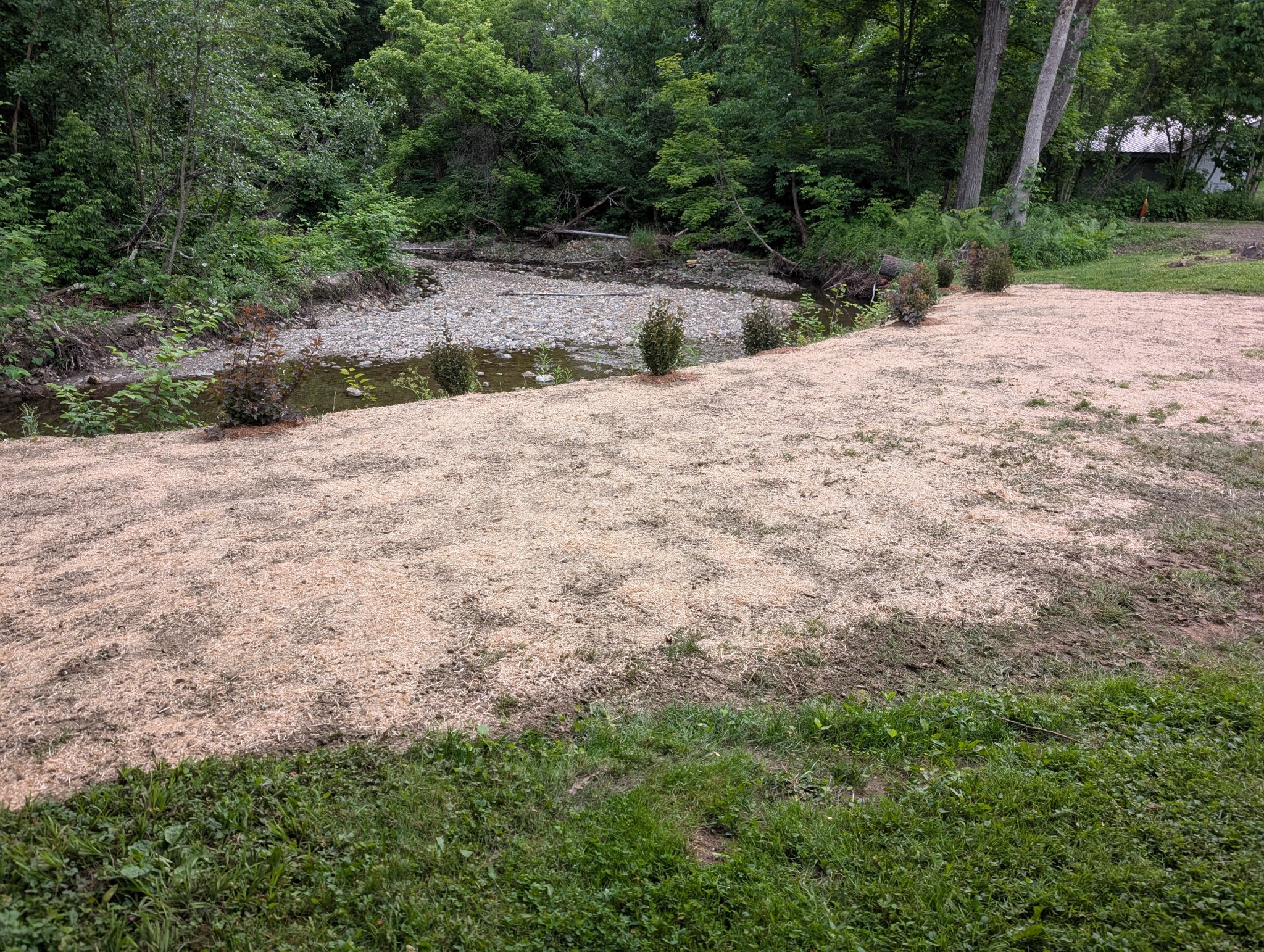 PXL_20250621_232345150.jpg