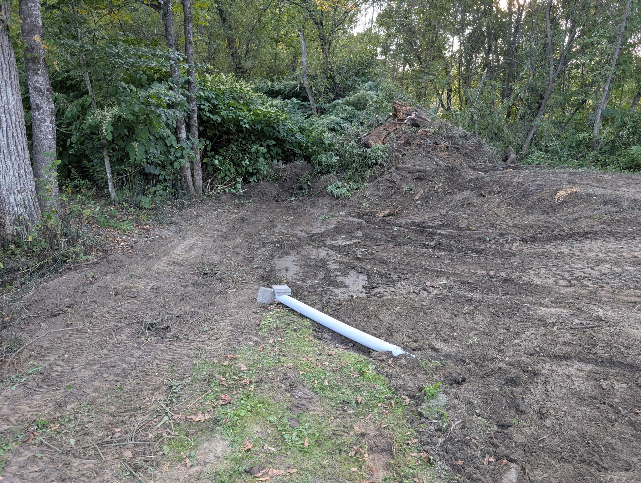 PXL_20250914_213724581.jpg
