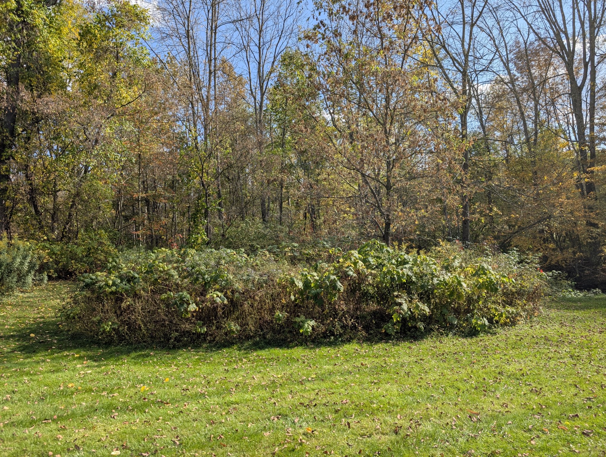 PXL_20250928_183824238.jpg