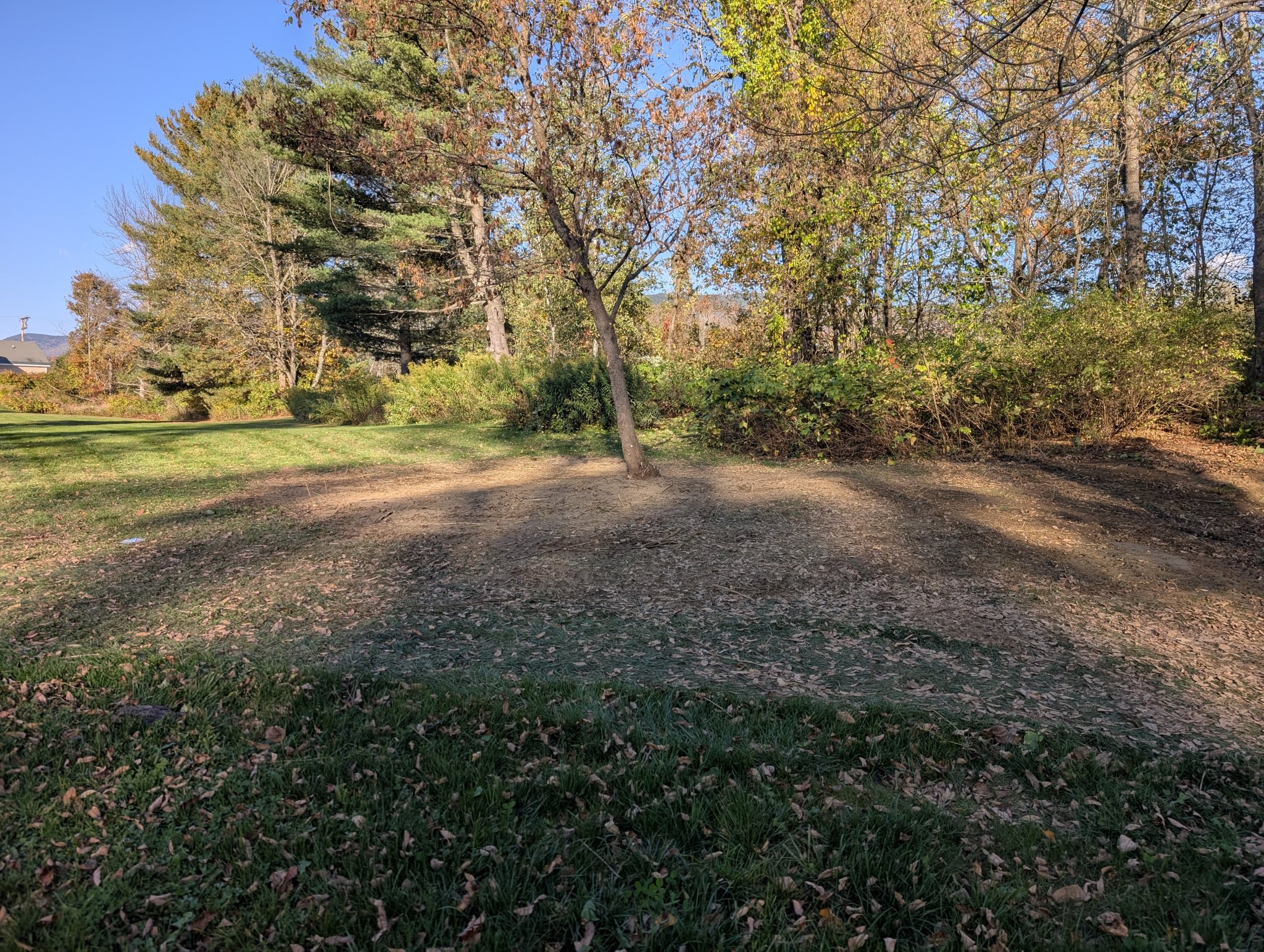 PXL_20250928_210753257.jpg