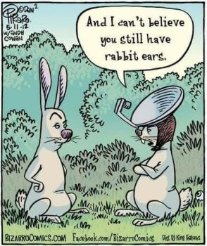 rabbitears.jpeg