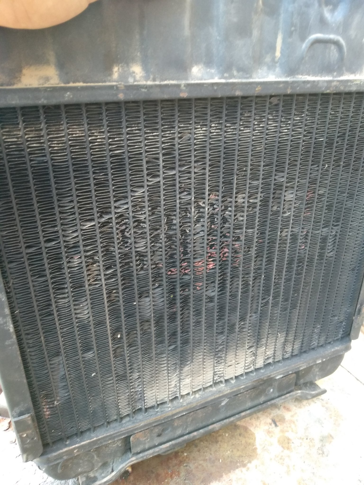 radiator starting to flake.jpg