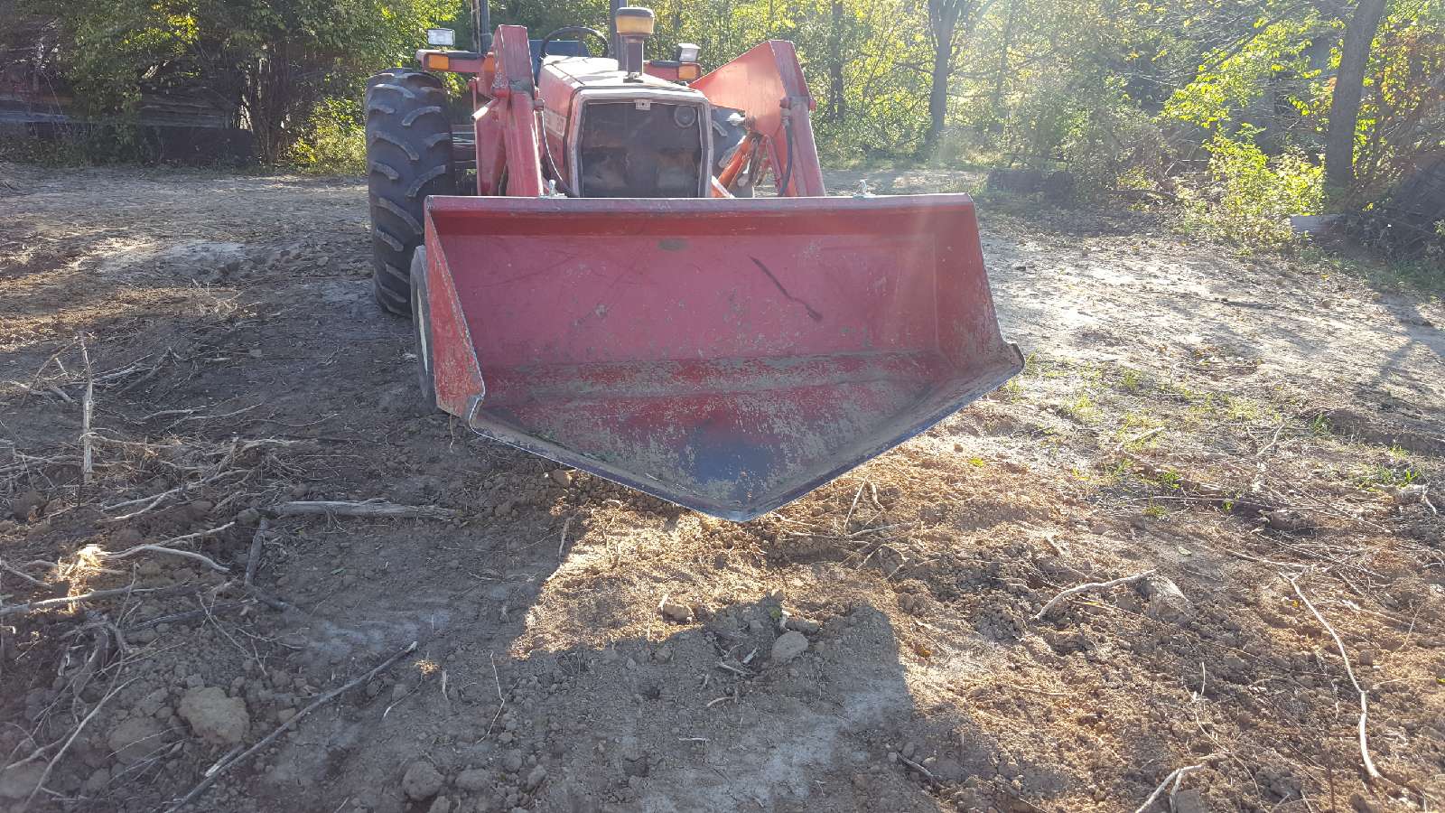 Resized_20191019_092256.jpeg