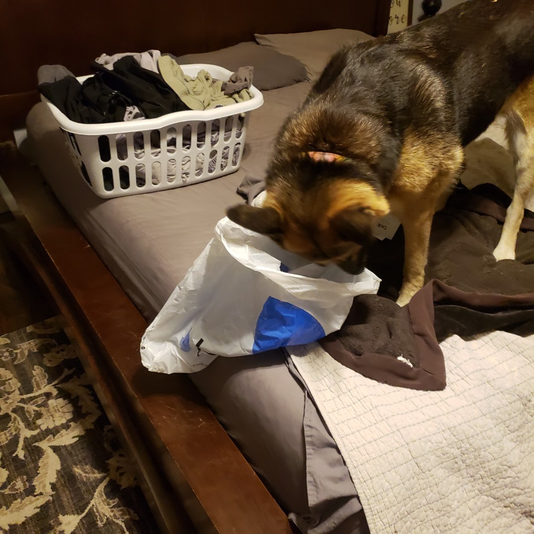 Resized_20201003_173057.jpeg