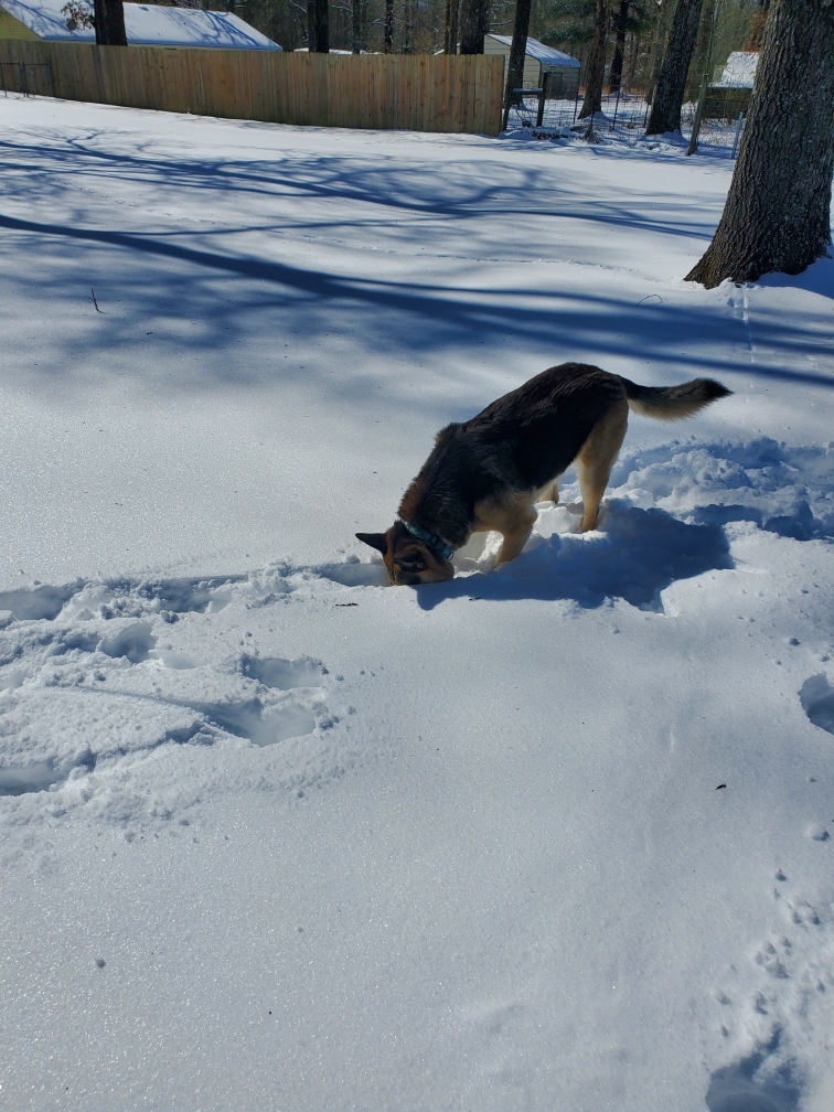 Resized_20210216_122944.jpeg