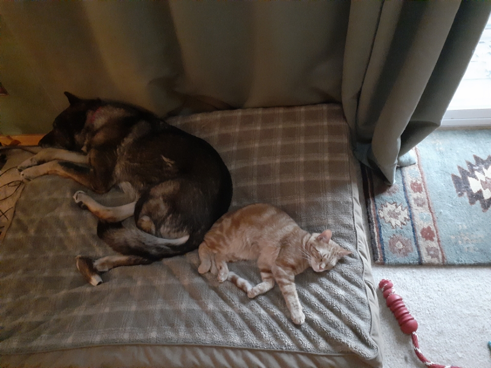 Resized_20250403_085237.jpeg