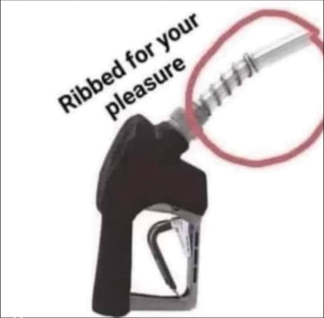 Ribbed.JPG