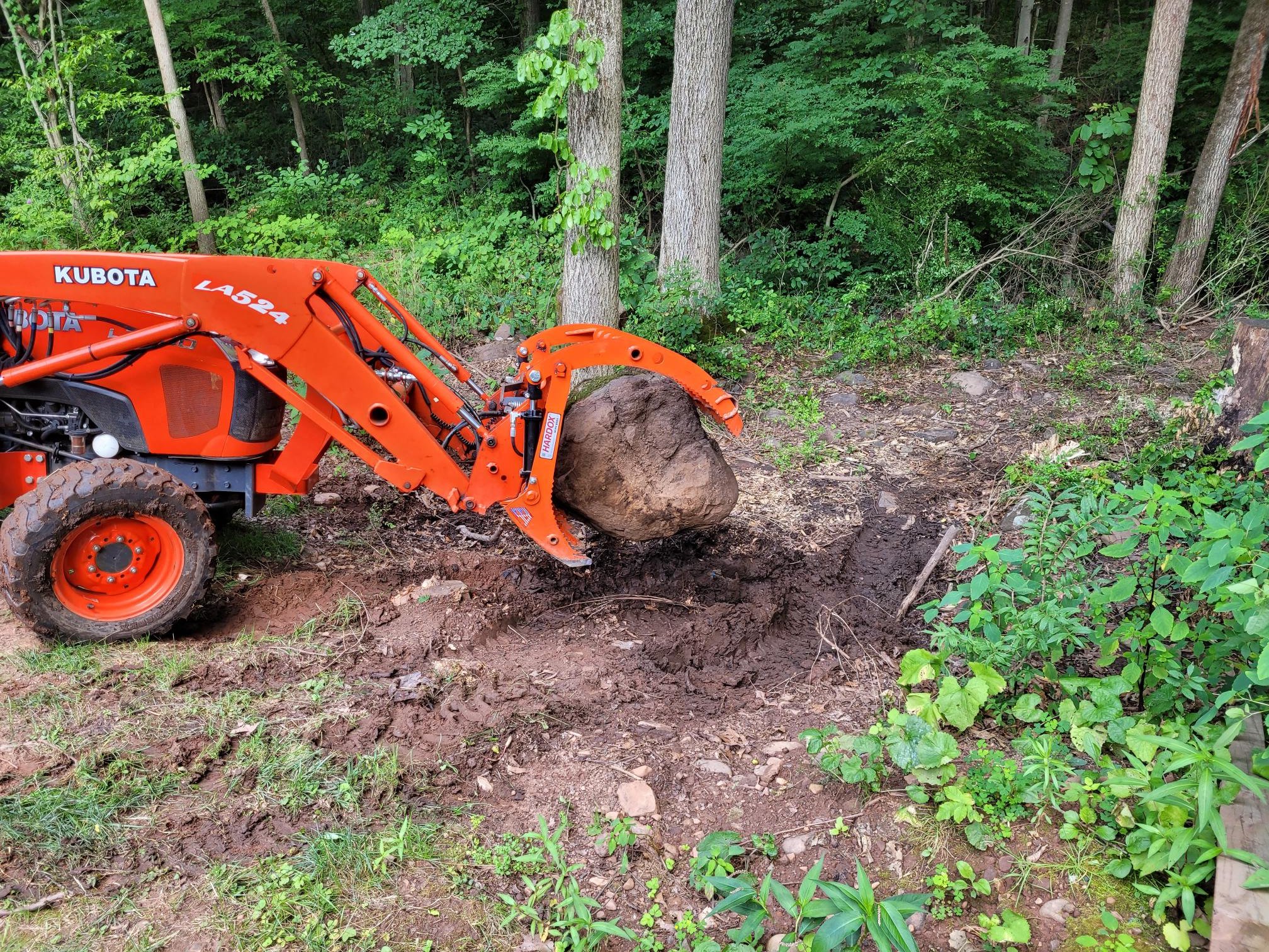rock_in_grapple_20240721_150857.jpg
