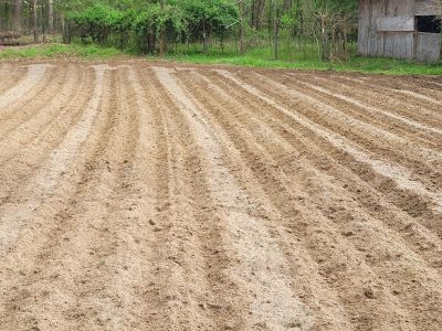 rows1.jpg