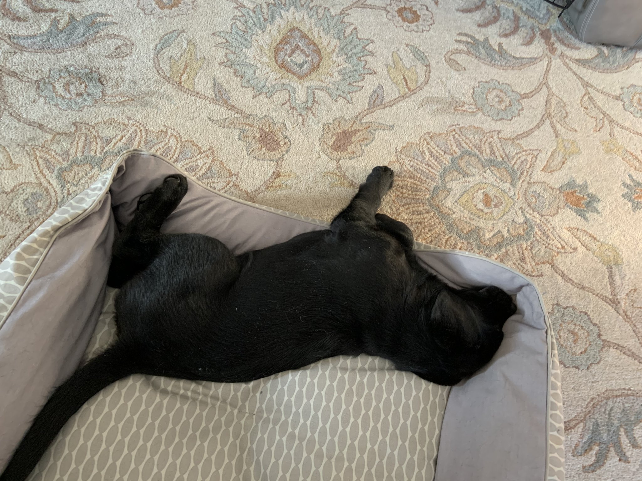 sako bed.JPG